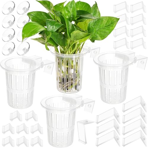 2025 New Upgraded Large Aquarium Plant Holder with 1.57-inch Extension Hooks and Suction Cups for Fish Tank Aquaponic Plant Cultivation and Aquascape Accessories Decorations (4 PCS) Transparent - color: Transparent-4 Pieces