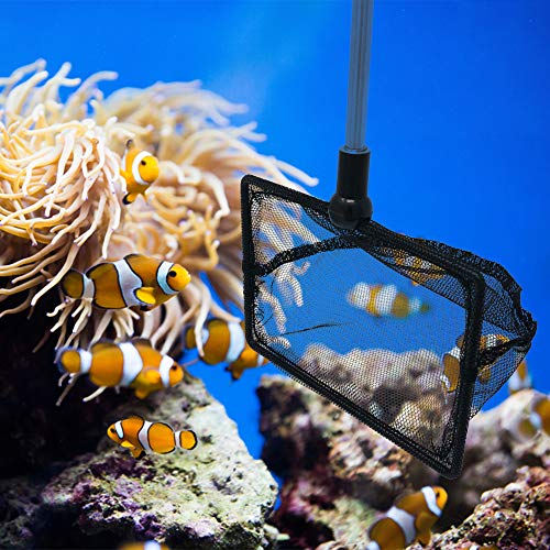 Long Handle Fine Net Fish Tank Net – Retractable 24 inches - size: 4 Inch
