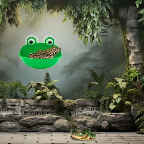 Frog Habitat with Suction Cup, 2 Pcs Cute Fish Tank Accessories Frog Dish Holder Frog Decor Frog Terrarium Decor for Tree Frog Toad Tadpole, Plastic, Green