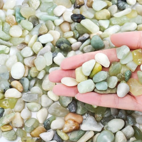 SIDONG 10 LB Jade Pebbles, 2/5 Inch Natural Decorative Polished Jade Stones, Jade River Rocks for Succulents, Cactus, Vases, Indoor Plants, Garden Landscaping, Bamboo - color: Jade, size: 10 Pounds