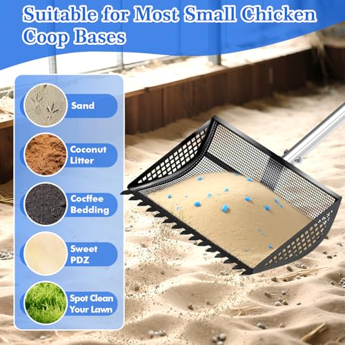 Chicken Poop Scooper Rake 2-in-1,304 Stainless Steel Shovel Head, Chicken Litter Scoop with Handle for Chicken Coop for Sand, Pet Waste Cleaning, Litter Sifting Shovel (35 to 65") (Black, 12inch) - color: Black, size: 12Inch
