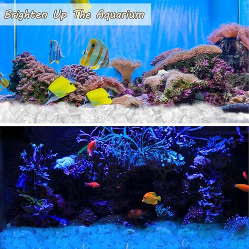 Kaiyuan Dynasty 100pc Glow Stones for Fish Tank Aquarium Glow in The Dark Rocks Glowing Rocks Luminous Pebbles for Fish Bowl,Garden,Ponds Decor,White (0.8-1.2") - color: White, size: 100