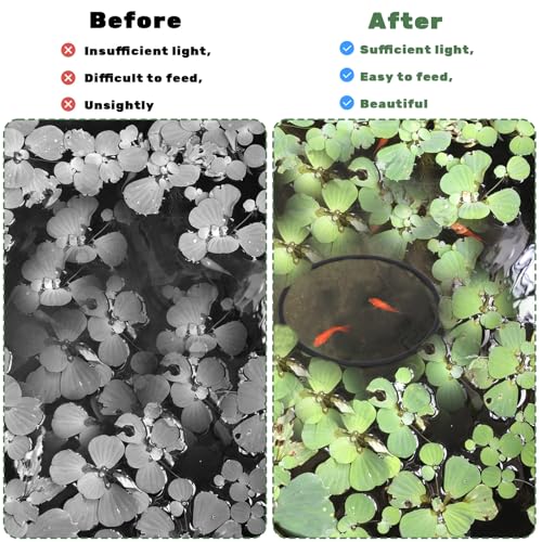 10 Pcs Fish Feeding Rings Set, Floating Plant Ring Aquarium Plant Corral Round Square Fishes Feeder Rings Aquariums Floating Plants Barrier Fishes Tanks Aquarium Floating Ring for Fish Tank Aquariums