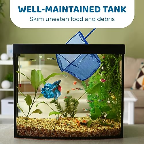 SunGrow Betta Fish Net, Secure Delicate Fin, 5x4 Inches with 11 Inches Handle, Extra Soft Nylon Net, Easy Routine Aquarium Tank Maintenance, Fish Tank Supplies