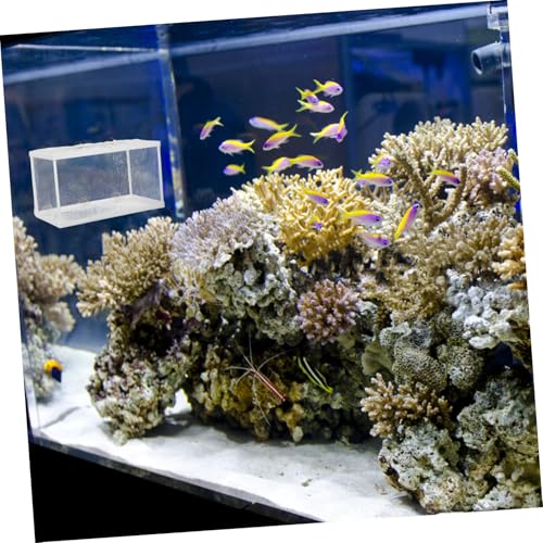 Aquarium Mesh Fish Net for Fry Incubator Suction Cup Breeding Box Betta Fish Aquarium Net