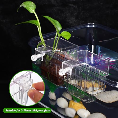 NOLITOY 4pcs Aquarium Holders Transparent Aquatic Cups for Fish Tanks Hanging Planter for Plants Easy Installation Compatibility Aquarium Accessories