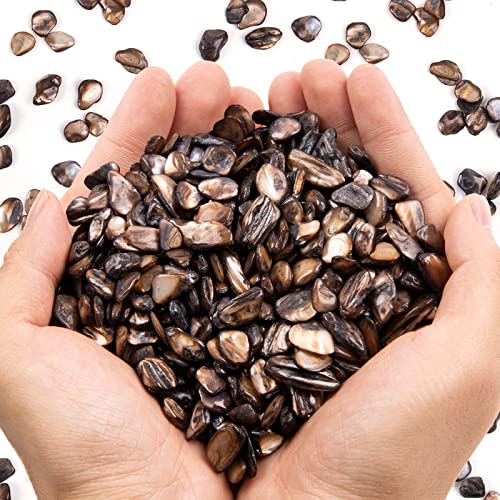 QICQDRAM Crushed Shells for Crafts About 1LB (405g/14.28oz) Small Natural Crushed Shells Bulk for Crafts DIY Beaching Wedding Decoration Vase Fillers (Black) - color: Black, size: 1LB (405g/14.28oz)