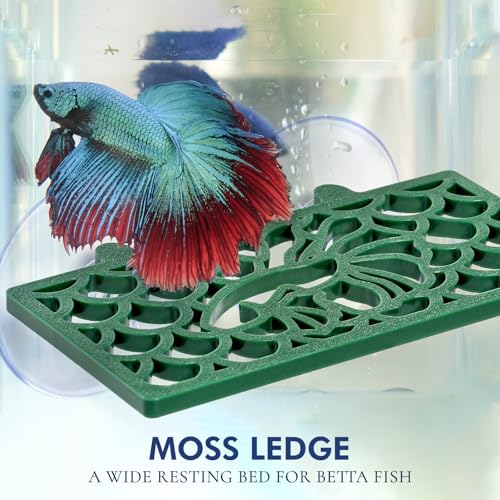 Abizoo Betta Fish Tunnel Hideout and Hammock Bed for Fish Aquarium Decoration, African Dwarf Frog Tank Accessories Hollow Design Habitat Cave for Betta Shrimp Guppies Neon Tetras Zebra Danios Snails - color: Dark green