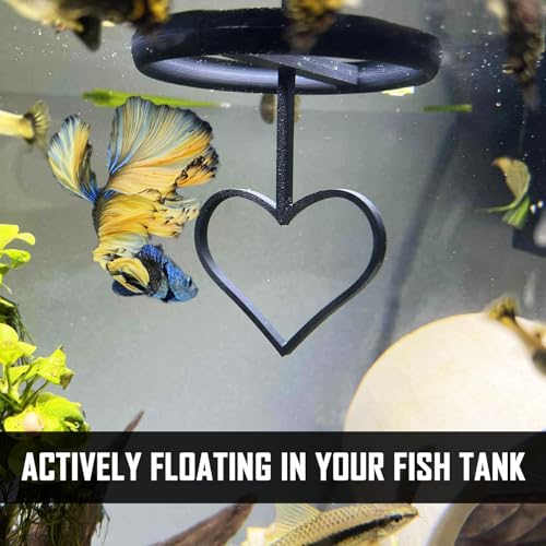 Floating Heart Betta Training Ring, Heart Active Betta Training Ring, Floating Feeder, Enrichment Toys for Aquarium Decor, Pink, 3.8in x 3.7in (Black, Single) - color: Black, size: Single