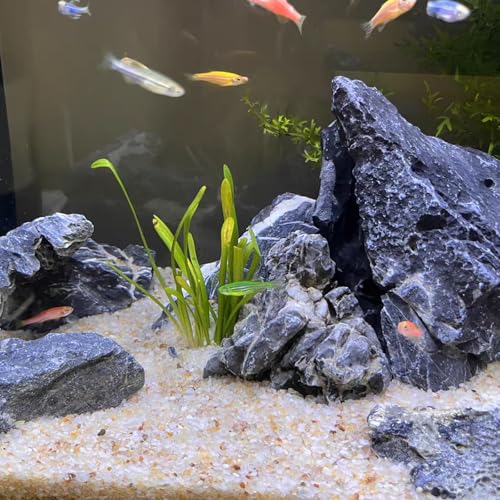 FANTIAN 5 lbs Aquarium Silica Sand. 0.4-0.8 mm Mini Gravel Substrate for Fish Tank, Plants Potted, Fire Pits, Candle, Vase Filler and Crafts - color: Beige, size: 5 LB