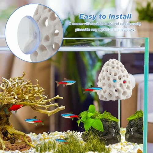 Shrimp Hides for Aquarium Bettas Fish Hideout with Strong Suction Cup - Nano Tank Ornament for Cherry Shrimp(Color:White)