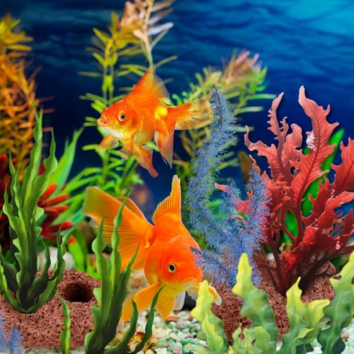 Lava Rock Aquarium, 6Pcs Aquarium Rocks Large for Fish Turtle Tank Plants, Decorations for Aquascaping, Fish Tank Ornaments, Terrarium