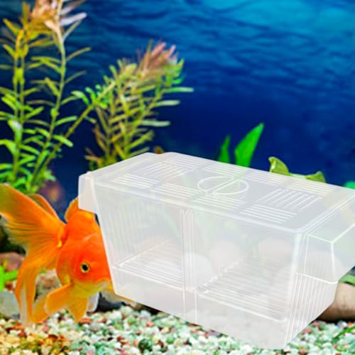 Multipurpose Fish Isolation Tanks with Strong Suction Cup for Aggressive Injured Pregnant and Fry Protections 2PCS Aquarium Isolation Divider - color: Late double room