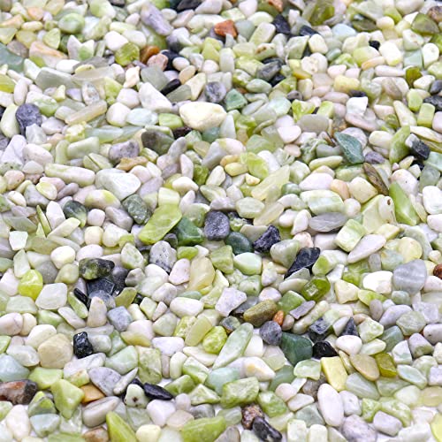 Rocks for Plants. Green Jade Decorative Polished Pebbles. 1/5 Inch – 2 lbs for Garden, Vase fillers, Crafting, Succulents, pots, Plants (Mini (0.2 Inch), Green Jade - Polished, 2) - color: GREEN JADE - POLISHED, size: Mini (0.2 Inch)