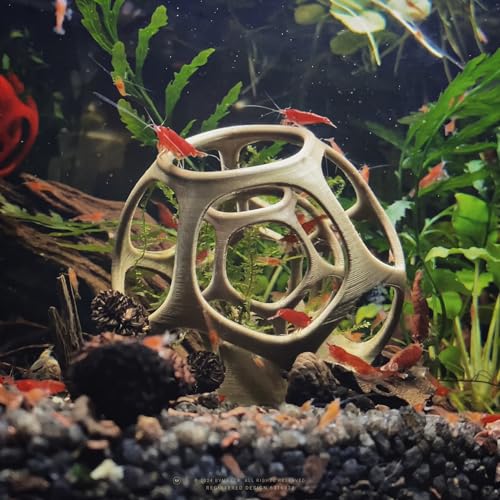 Maze Shrimp Hide | Shrimp Protector & Swim-Through Hideout – Aquarium Plant Holder & Fish Tank Decor with Suction Cup (Clear White, Regular) - color: Clear White, size: Regular