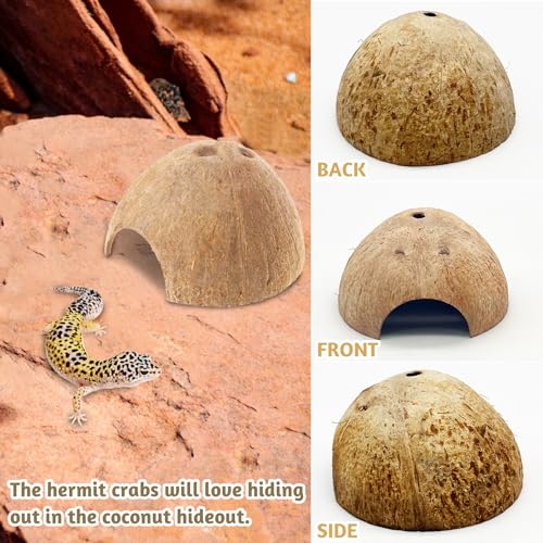 4 PCS Natural Coconut Reptile Hideouts Lizard Coco Hut Hermit Crab Hut Aquarium Fish Hide Cave Spider Snail Climber Toys - size: 4 PCS Smooth Surface