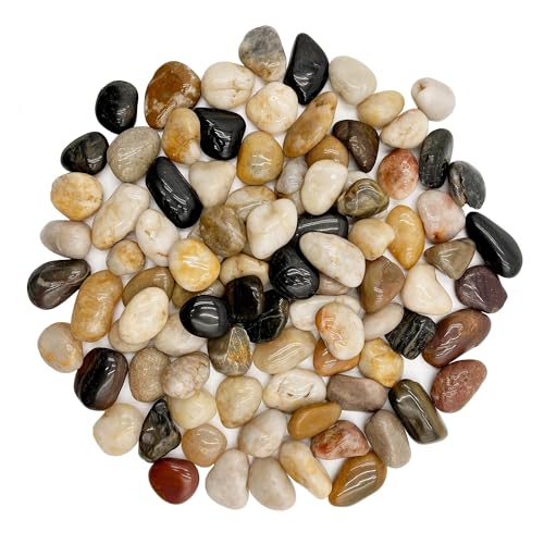 River Rocks Pebbles for Indoor Plants 3/8-1 Inch Natural Aquarium Gravel Decorative Fish Tank Rocks Garden Landscaping Decor - color: mixed, size: 1 LB