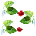 CousDUoBe 3 Pack Betta Fish Leaf Pad Improves Betta's Health by Simulating The Natural Habitat - Natural, Organic, Comfortable Rest Area for Fish Aquarium Ornaments - size: 3 Pack