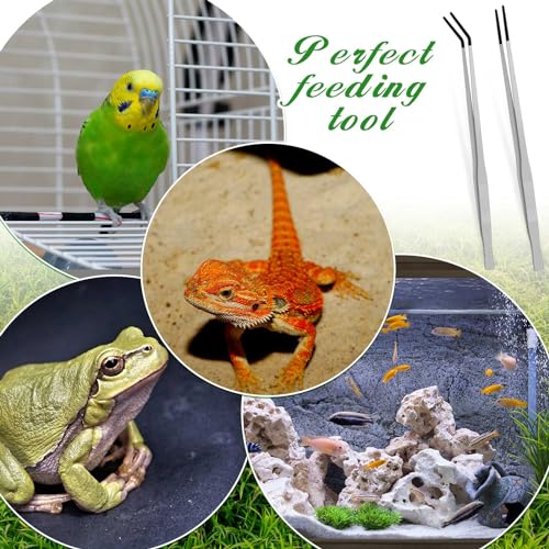 2 Pcs Extra Long Stainless Steel Reptile Feeding Tongs with Rubber Tip 18.5 Inch, 18.9 Inch Bearded Dragon Aquarium Straight and Curved Long Tweezer Terrarium Feeder Tool for Tank(Silver)