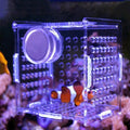 Acrylic Fish Breeding Box, Magnetic Fish Isolation Box Fish Separator for Aquarium Hatchery Incubator Tank for Baby Fishes Shrimp Clownfish Guppy (Medium, Normal Magnetic Model) - size: Medium, Normal magnetic model