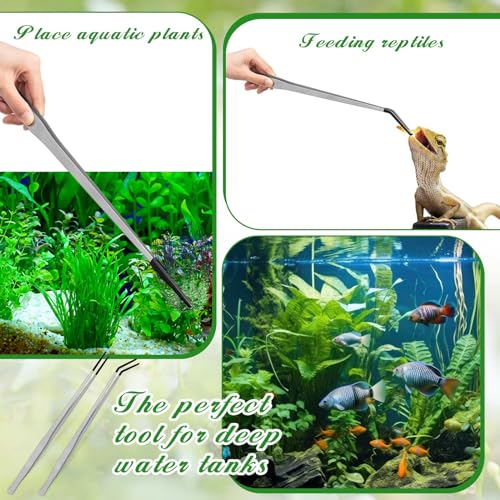 Lasnten 2 Pcs Extra Long Stainless Steel Reptile Feeding Tongs with Rubber Tip 18.5 Inch, 18.9 Inch Bearded Dragon Aquarium Straight and Curved Long Tweezer Terrarium Feeder Tool for Tank(Silver) - color: Silver, size: 18.5 Inch, 18.9 Inch