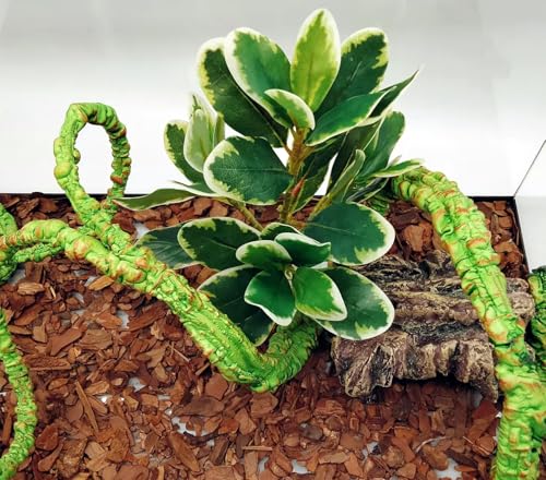 Reptile Plants Terrarium Artificial Leaves Reptile Tank Decorations for Bearded Dragon Lizard Snake Geckos Chameleon Amphibian Habitat Terrarium Decor - color: White and Green