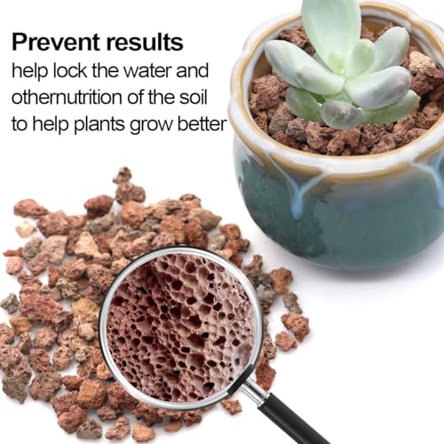 TOYPOPOR 6lb Red Lava Rocks Soil for Plants, Bonsai Cacti Succulents Horticultural Stones, Natural Decorative Volcanic Drainage Gravel for Vase Fillers, Terrarium, Top Dressing, Landscaping, Gardening - color: Horticultural Lava Rock, size: 6 lb