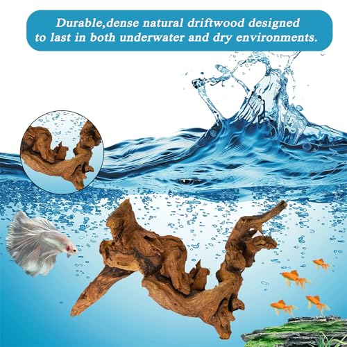 Natural Aquarium Driftwood for Fish Tank & Reptile Terrarium Decor – 4 Pcs Assorted Natural Wood Branches 4-8 Inch, Aquarium Decorations for Shrimp, Betta, Lizards