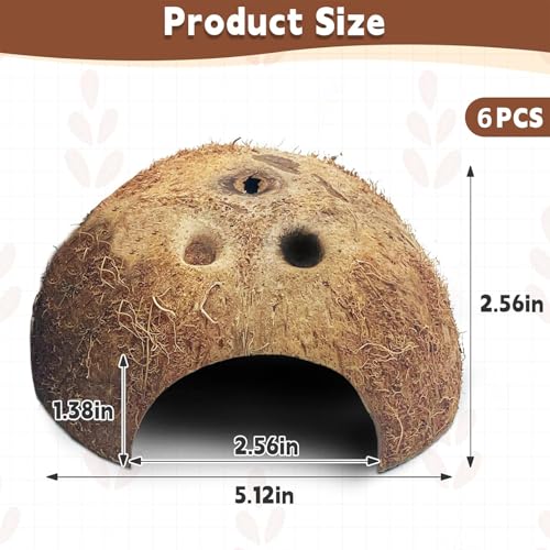 Natural Coconut Reptile Hideouts Lizard, Coco Hut Hermit Crab Hut Aquarium Fish Hide Cave for Small Reptile Crested Gecko Leopard Gecko Spider Snail Climber Toys (6 PCS Natural Surface)