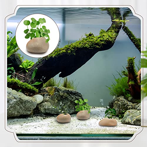 Norme 8 Pcs Aquarium Plant Holder Fish Tank Plants Holder Aquatic Plant Pots Holders Aquarium Ceramic Plants Anchors Weighted Aquariums Planters for Fish Tank Decoration Aquascaping Decorations