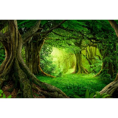 Forest Aquarium Background Lush Green Tropical Rainforest Natural Landscape Terrarium Background Jungle Forest with Sunbeams Old Huge Trees Fish Tank Background Wallpaper Poster Vinyl 24x12in - color: Forest Green, size: 24(W)x12(H)inches/ 60(W)*30cm(H)