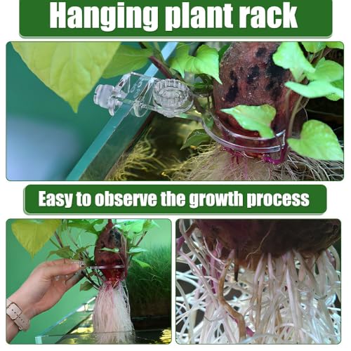 Sturdy Aquarium Plant Holder, Acrylic Adjustable Clear Aquarium Plant Holder Premium Aquarium Planter Cups for Aquarium Aquascape Cultivation Decoration - color: Fixed Type Single Cup