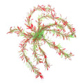 1pc Artificial Aquatic Plant Decor for Aquarium Faux Water Grass Ornament Landscape Decoration for Fish Tanks Vitality and Provides Hiding Spots for Fish