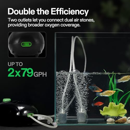 VIVOSUN Aquarium Air Pump Kit, with 160 GPH Dual-Outlet Air Pump and Complete Accessories, Ultra-Quiet, Adjustable Aquarium Aerator for 20-300 Gallons Fish Tanks