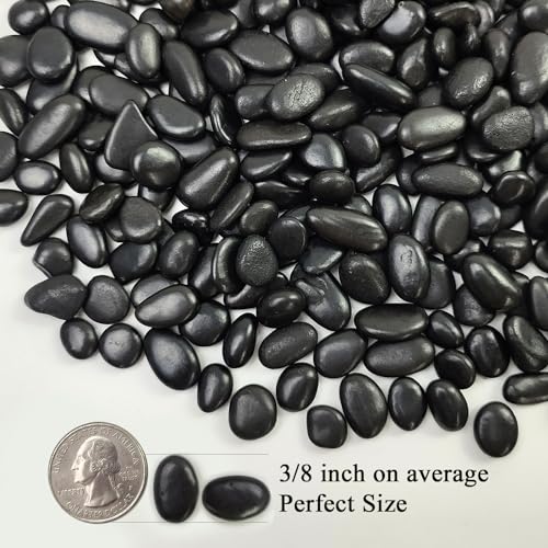 FANTIAN 10 lbs Small Black Pebbles for Indoor Plants. 3/8 inch Decorative Black River Rocks for Succulent Potted Plant, Vase, Landscaping and Outdoor Garden Rocks - size: 10 pounds, style: Black