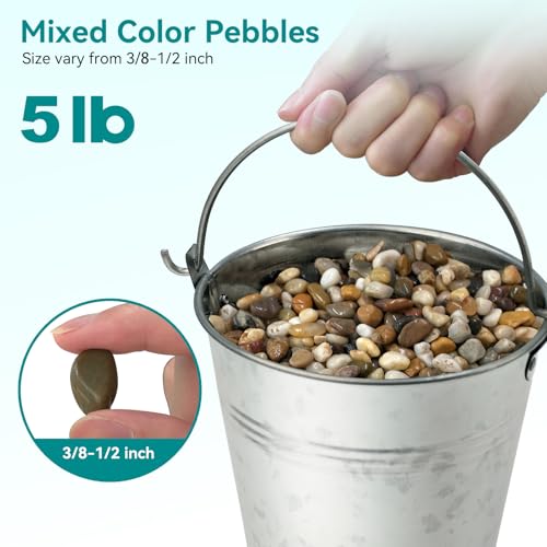 5 lbs Pebbles for Indoor Plants, Vase, Succulent, 3/8" Gravel for Plants, Pots Indoor, Bamboo Rocks for Bamboo Plants, Decorative Small River Rock, Highly Polished - color: Mixed Color