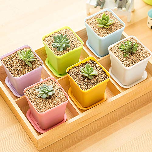 24 Pack 3inch Multi Color Square Plastic Plant Pots,Seedling Nursery Transplanting Planter Container Indoor Outdoor for Your Room,Garden Office and Balcony Decor - color: 6 Colors