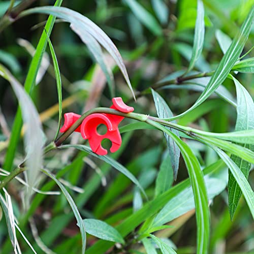 LucyPhy 60 Pack Plant Bender Angle Adjustable Plant Training Clips Low Stress Training Clips 90 Degrees Plant Stem(Circle Style,Red) - color: Red, size: 60Pack