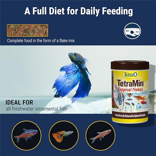 TetraMin Nutritionally Balanced Tropical Flake Food for Tropical Fish, 7.06 oz (pack of 1) - size: 7.06 Ounce (Pack of 1)