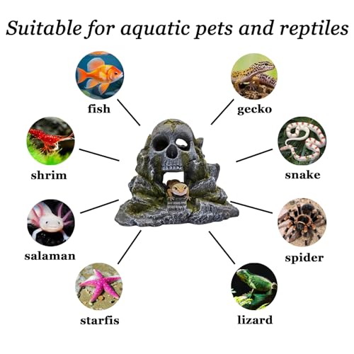 Aquarium Decoration, Crawler Box, Hidden cave, Fish Tank Decoration Accessories, Amphibians, Fighting Fish, Shrimp, Lizards, Leopards, Geckos, Hiding and Playing in Their habitats