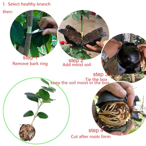 Tree Root Growing Box – Air Layering Propagation Pods for Woody Plants, Reusable Transparent Rooting Device for Magnolia, Fig, Citrus & Roses (10pcs Small, 3–9mm Branches) - color: Black-s-10pack