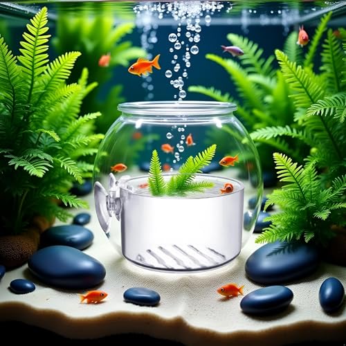 BWESOO Transparent Round Aquatic Planter Cups with Hole, Mini Acrylic Aquatic Plant Pot Holder with Suction Cup Aquarium Decor, for Aquarium Shrimp Fish Live Plants