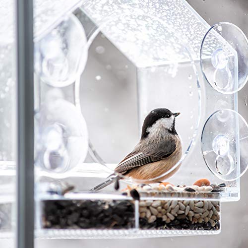 Nature Anywhere Replacement Suction Cups (4-Pack) - 2 Inch Diameter Heavy Duty Suction Cup for Window Bird Feeders, Awesome for Shower, Kitchen Sink Caddy