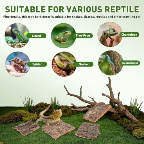 Zerodeko Cork Bark, Cork Bark for Terrarium, Reptile Climbing Platform Natural Tree Decor for Terrariums Snake Hide Lizard Habitat Accessories