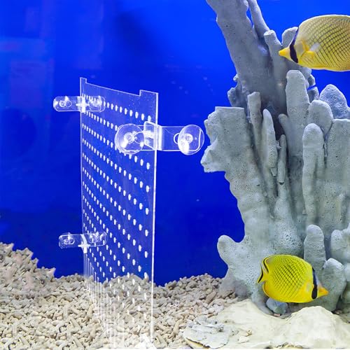 Homoyoyo Aquarium Divider Kit Acrylic Fish Tank Separator 35x30cm with Suction Cups Partition Board for Fish Isolation and Reptile Tank Separation