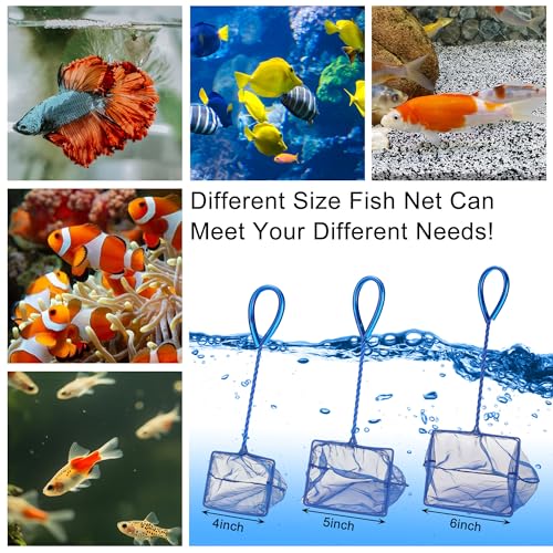 3 Pack Aquarium Net, Multi-Size Fine Quick Fish Catch Nets Extra Soft Nylon Fishing Nets with Plastic Handle for Aquarium Fish Tank Supplies- Blue (4in,5in, 6in) - color: Blue, size: Multi-Size Set: 4"/5"/6" (3-Pack)