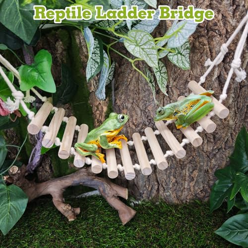 VCEPJH Reptile Bridge Leopard Gecko Climbing Ladder Wooden Basking Lounger Reptile Tank Accessories for Crested Gecko Bearded Dragon Hermit Crab Turtle Chameleon Lizard Tree Frog (2 Pcs)