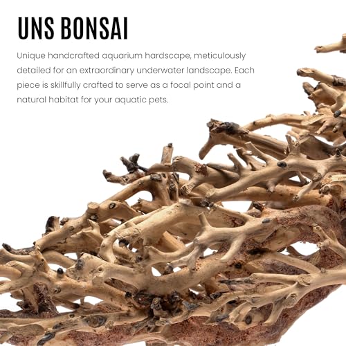 Ultum Nature Systems Bonsai – Handcrafted Driftwood for Aquarium, Tree Shape Aquarium Decor, Fish Tank Decorations, Terrarium Decor, Aquascaping Hardscape for Freshwater & Nano Tank - 019, Medium