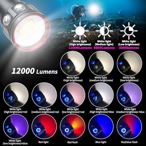 Diving Flashlight, L24 12000Lumens Dive Light,100m Underwater Video Light, Scuba Dive Lights, Underwater flashlights with Type-C Charging for Professional Under Water Sports - color: Sealion L24