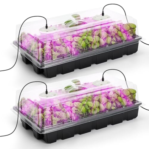 MIXC Seed Starter Tray with Lights, 2 Packs Mini Propagator Plant Grow Kit Greenhouse with Humidity Vented Domes and Base for Seeds Starting, Black - color: Black, size: 40-Cell 2-Pack With Light